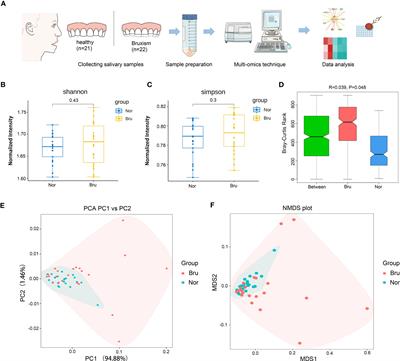 Salivary signatures of oral-brain communication in sleep bruxers